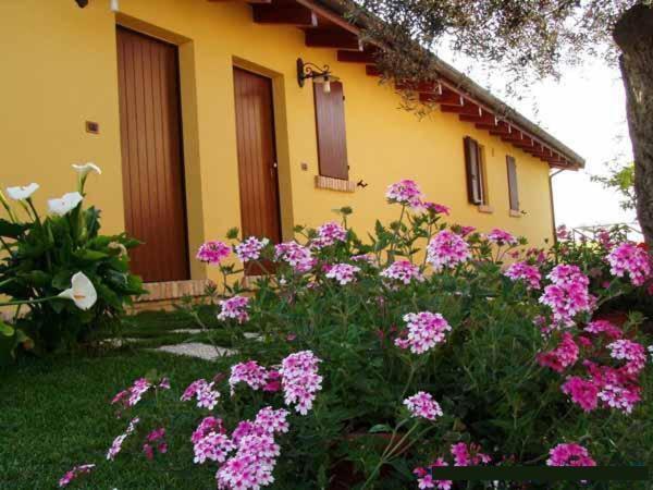 Agriturismo Tenuta Santa Maria Notaresco Exteriör bild