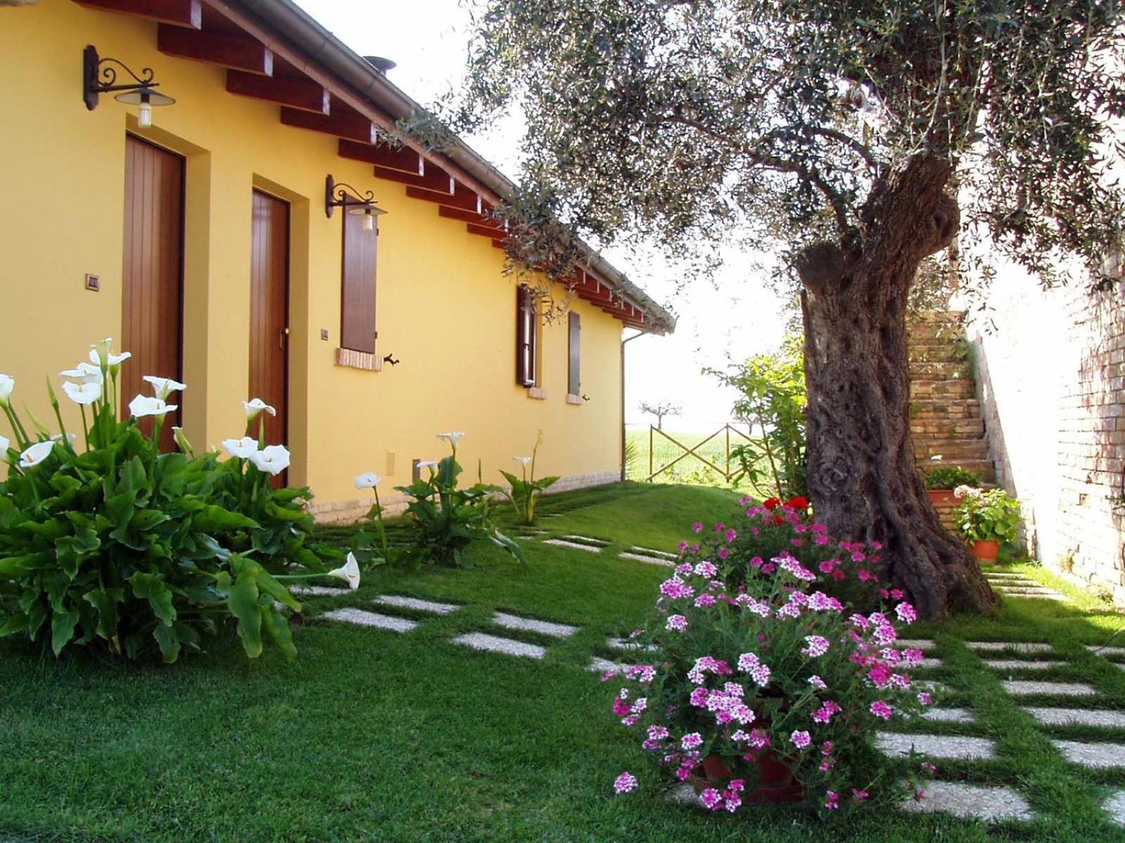 Agriturismo Tenuta Santa Maria Notaresco Exteriör bild