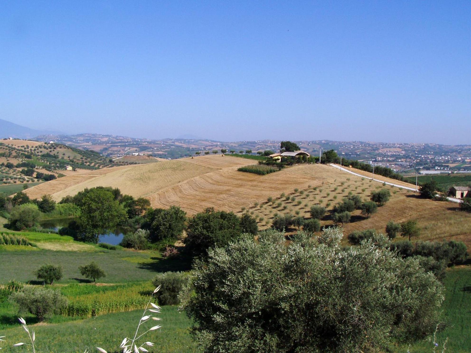Agriturismo Tenuta Santa Maria Notaresco Exteriör bild