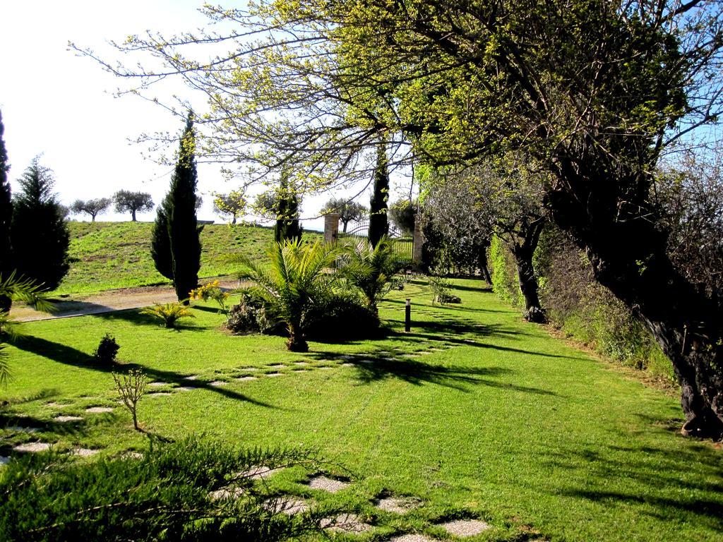 Agriturismo Tenuta Santa Maria Notaresco Exteriör bild