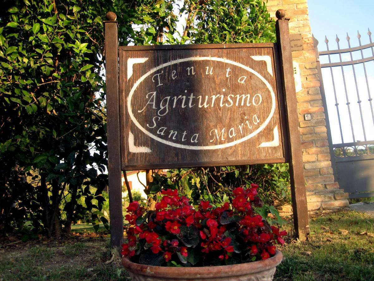 Agriturismo Tenuta Santa Maria Notaresco Exteriör bild
