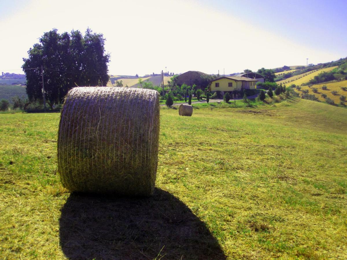 Agriturismo Tenuta Santa Maria Notaresco Exteriör bild